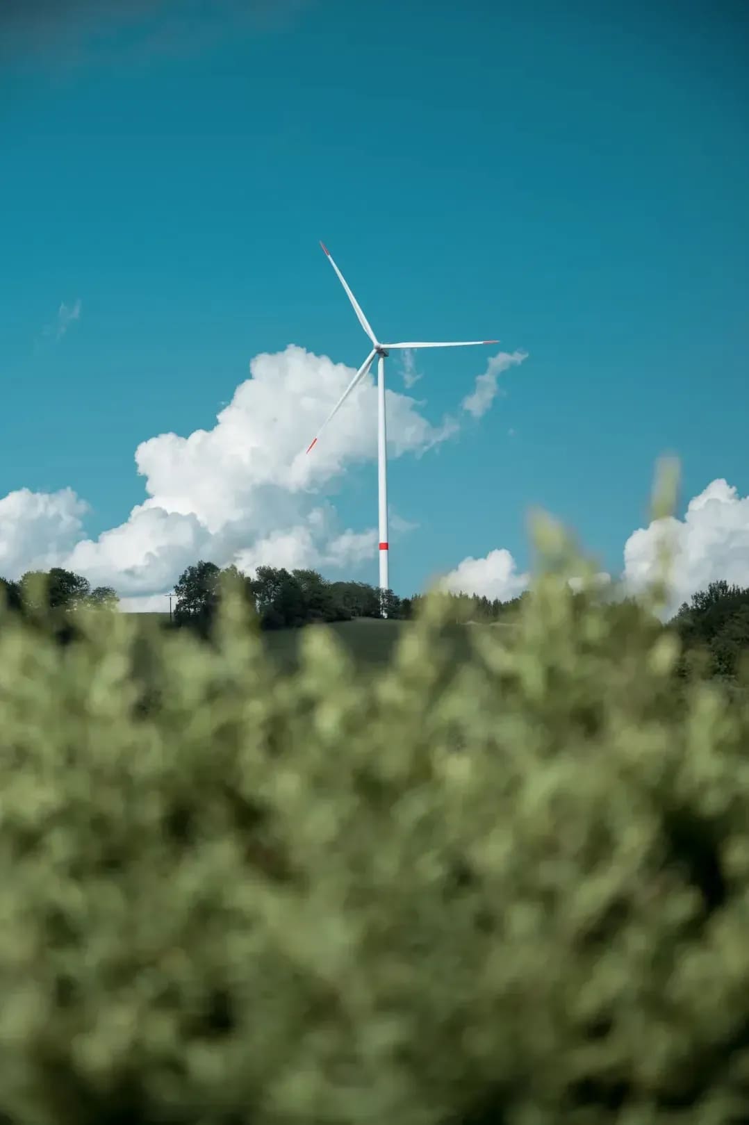 How Circular Thinking Supports Smarter Business Growth