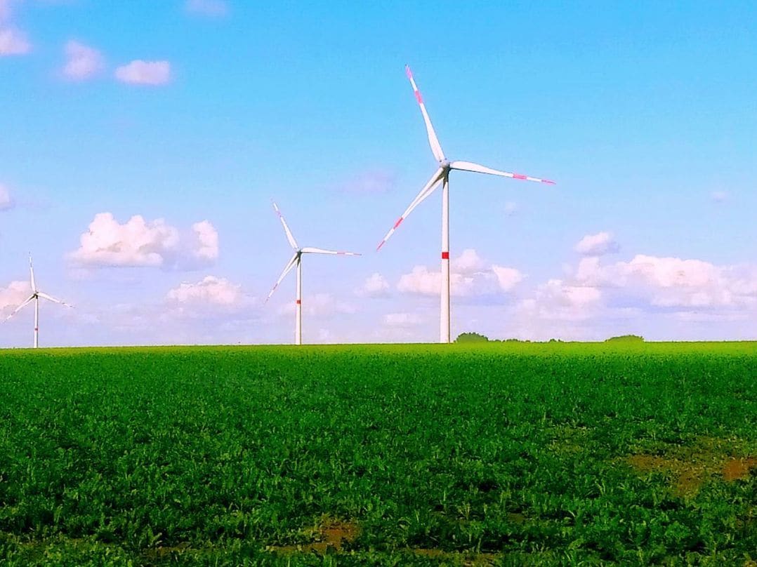 GreenCycle 1