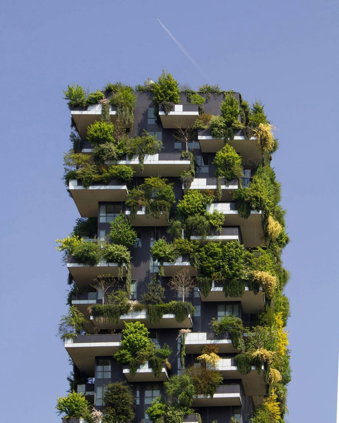 GreenCycle 5